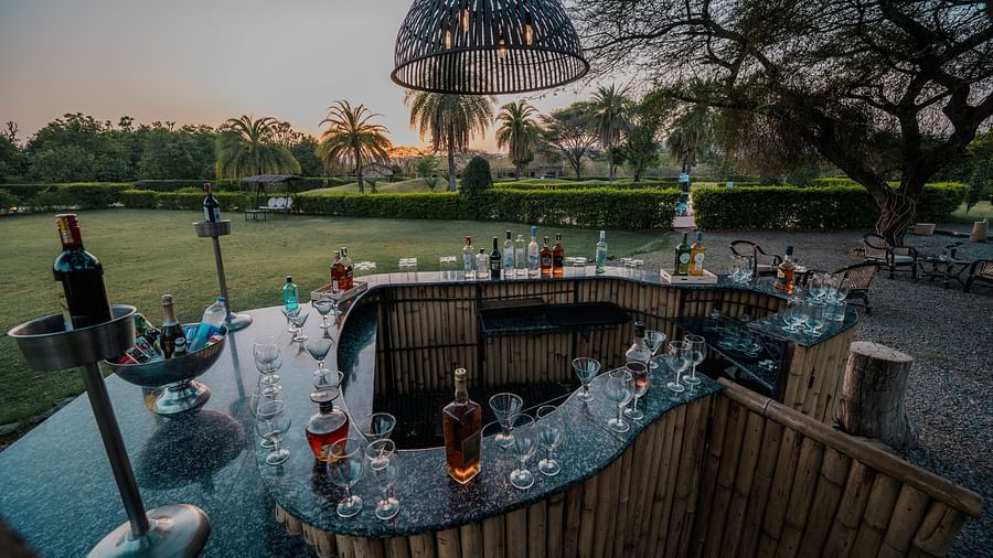 Outdoor bar area with stools around a curved counter. Bottles and glasses are visible. Trees and a blurred background suggest a garden setting - Clarks Safari, Pushkar