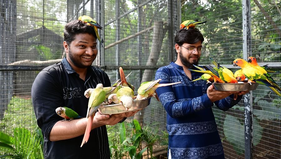 Two men holding birds in their hands.