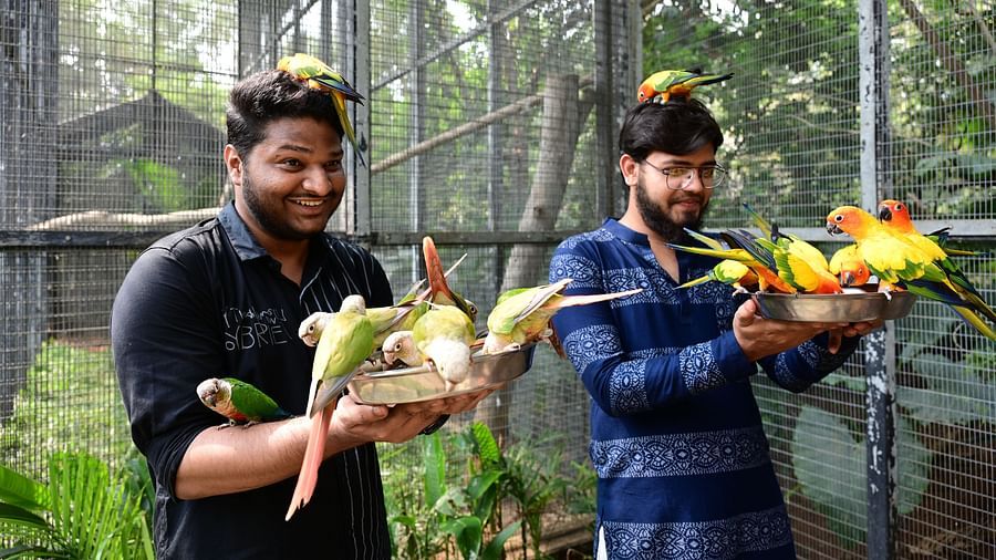 Two men holding birds in their hands.