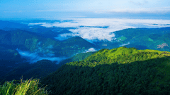 High-angle view of deep green mountain ridges emerging from a dense blanket of low-lying white mist under a clear blue sky, with sunlight falling on the peaks of the mountains.