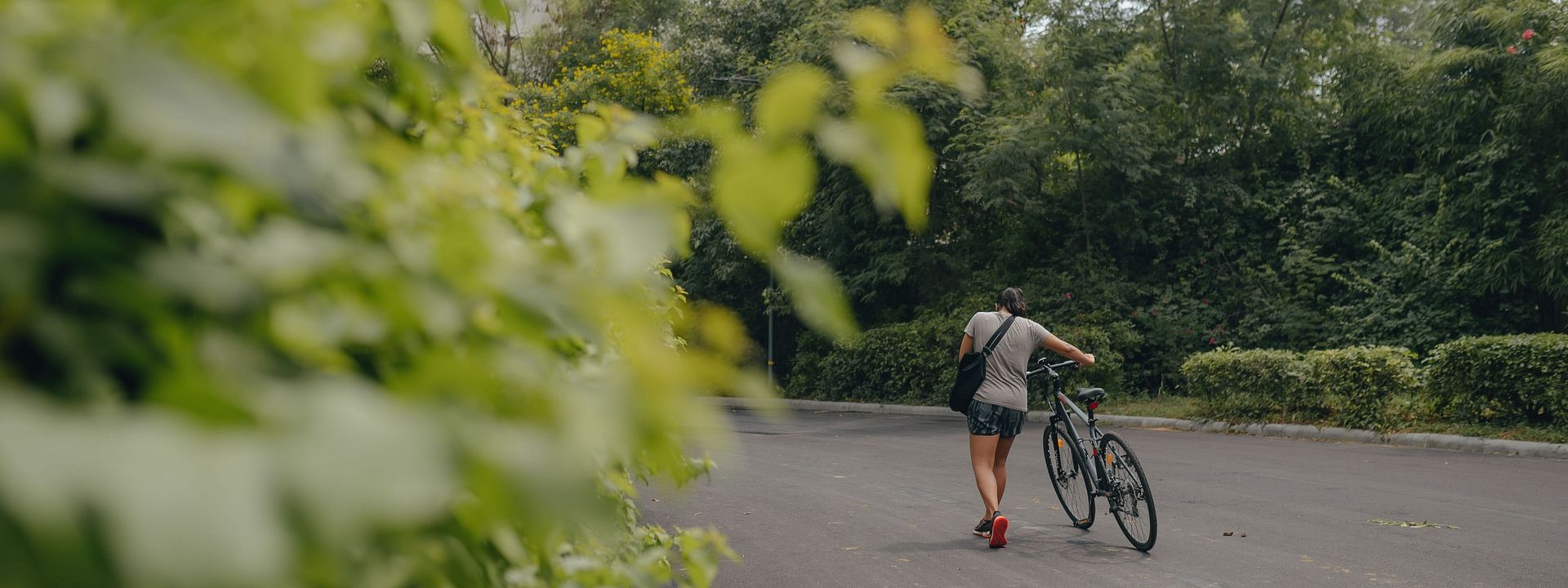 A person pushing a bicycle on a road surrounded by dense green plants and trees at Karma Chalets.