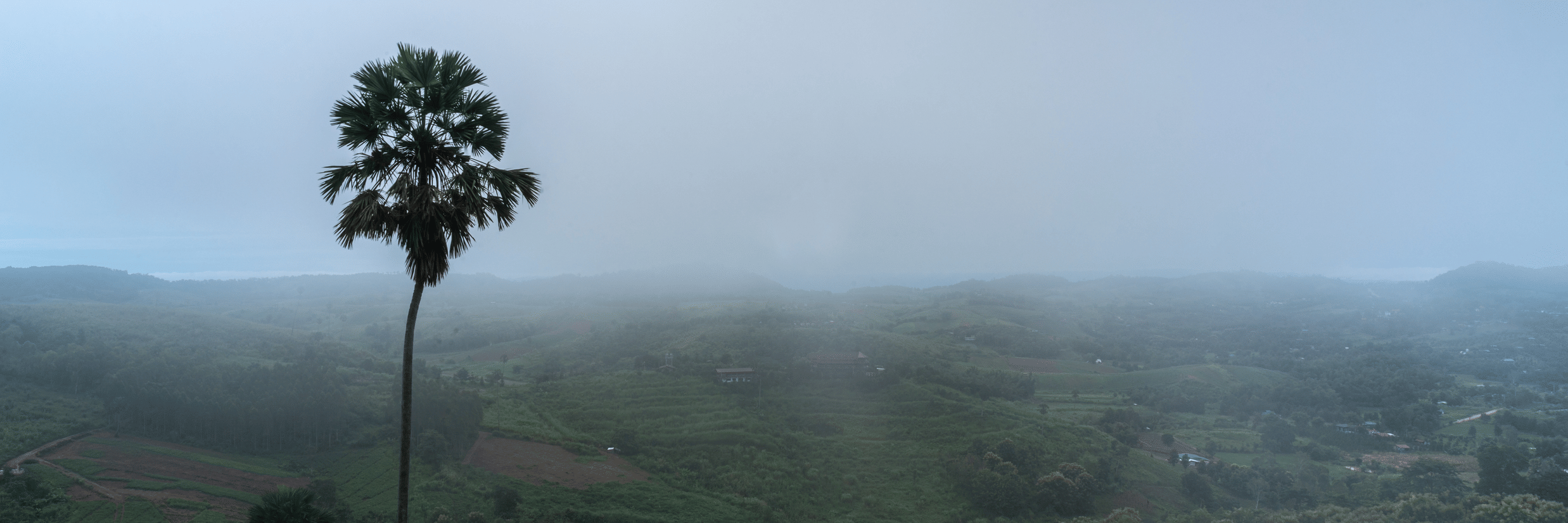 Escape the Heat: 5 Reasons Sakleshpur Feels Cooler Than Bangalore 