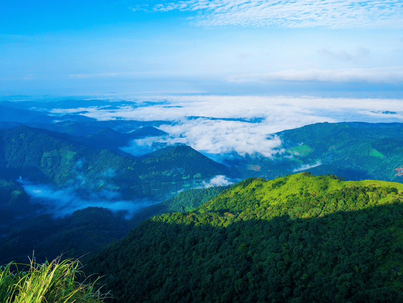 High-angle view of deep green mountain ridges emerging from a dense blanket of low-lying white mist under a clear blue sky, with sunlight falling on the peaks of the mountains.