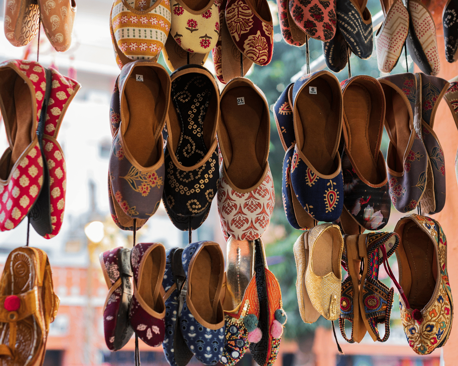 pexels-kashvi-shah-253087493-14940419 (1)