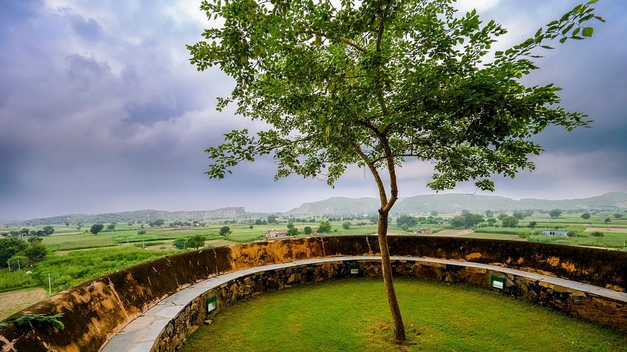 Hill Fort Kesroli 14th Century Alwar - view of a circular lawn area surrounding a tree