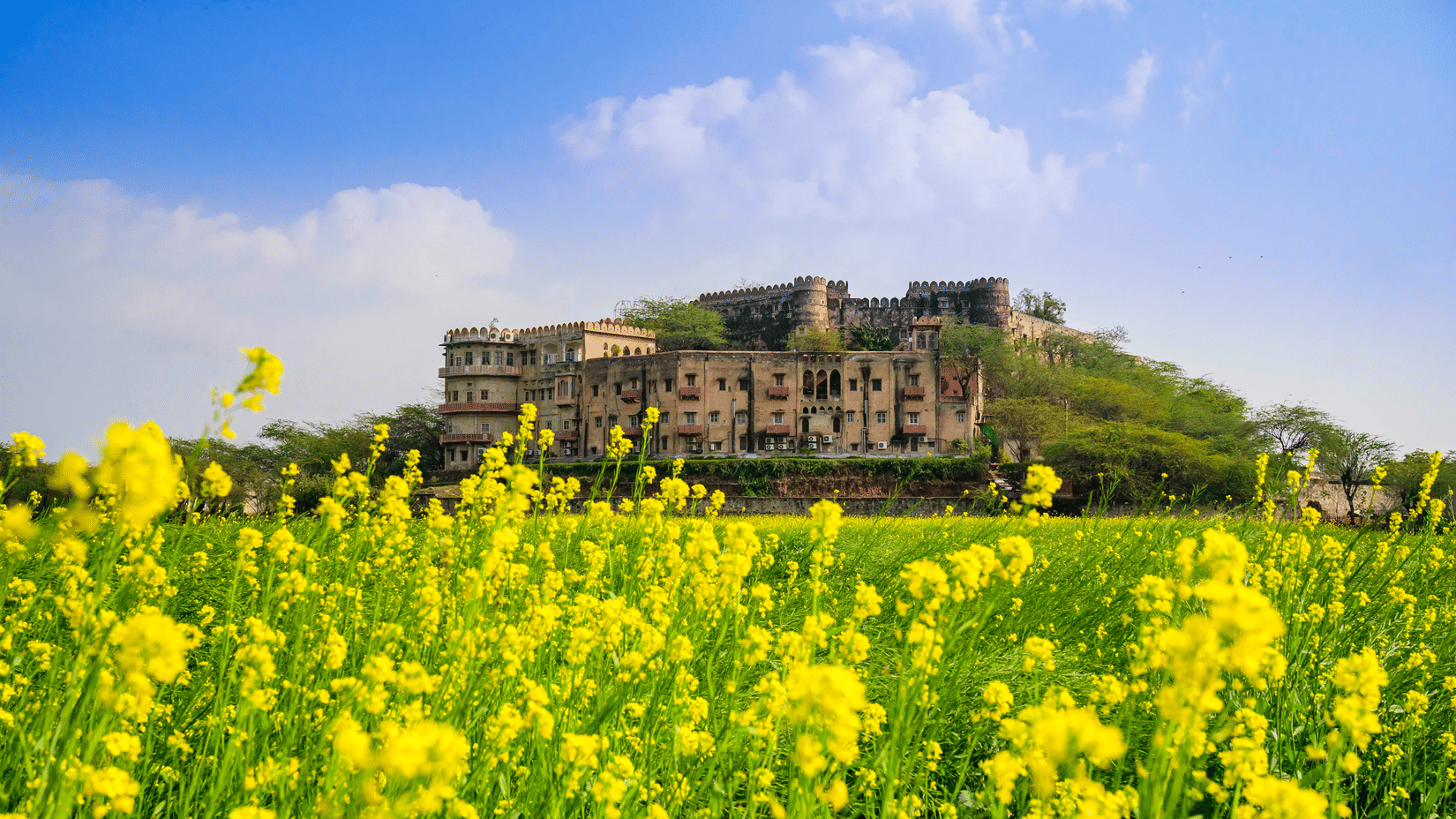 Facade of Hill Fort-Kesroli, a heritage hotel in Alwar with a garden of mustard flowers under a blue sky