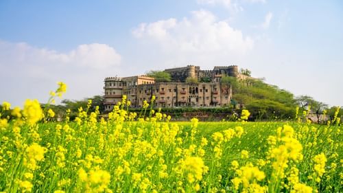 Hill Fort-Kesroli 14th Century Alwar - Image of an old fort with yellow flowers and grass in the foreground