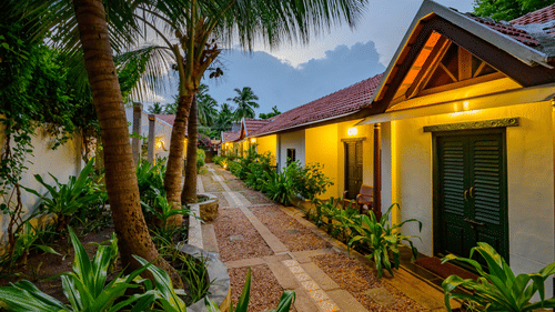 alley view outside rooms with trees