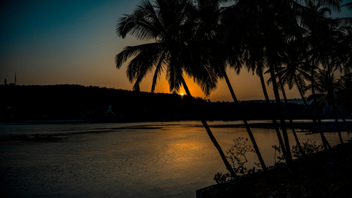 A sunset in the background with coconut trees in the foreground and beach in the middle