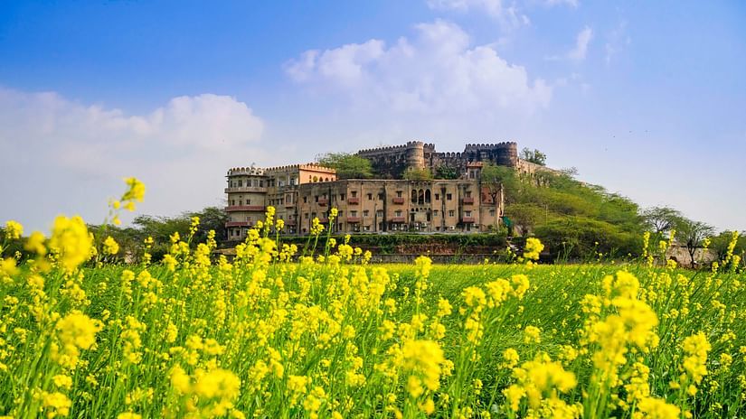 Image of an old fort with yellow flowers and grass in the foreground - Hill Fort-Kesroli 14th Century Alwar - 