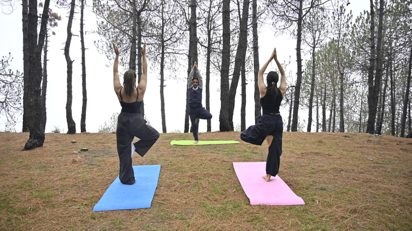 Three women practising Yoga asanas in the middle of the forest with tall trees around near The Manor Luxury Apartments, Shimla.