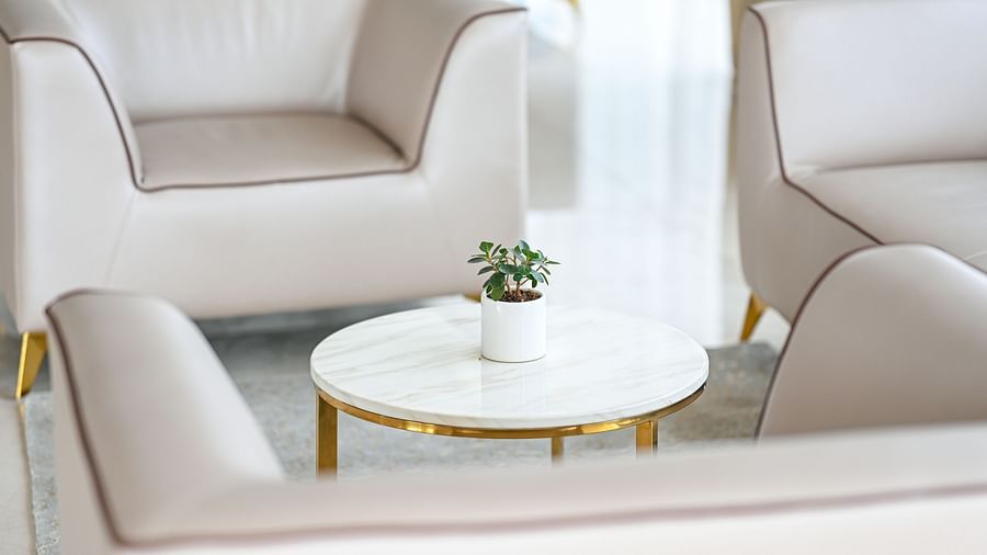 a centre table with a small plant kept on top of it