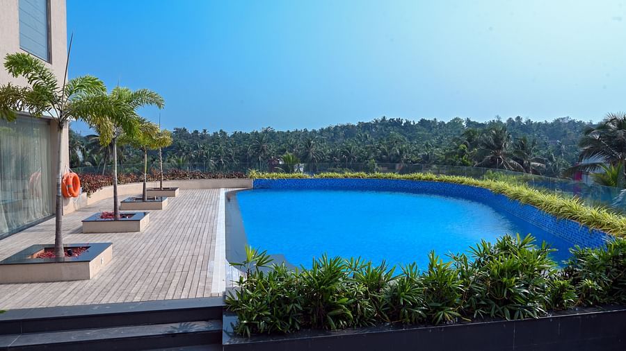 view of the swimming pool surrounded with greenery on one side