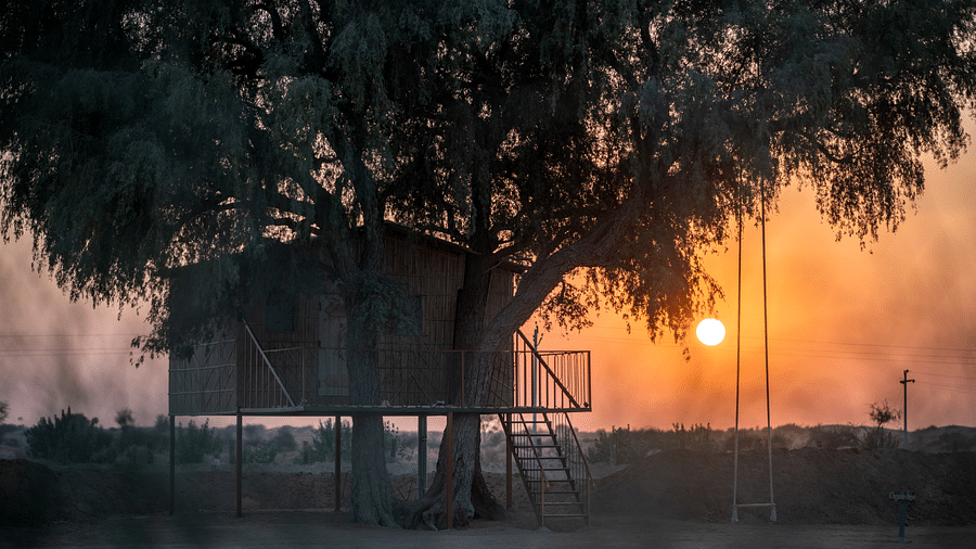 A glimpse of the Tree house at sunset - Karwaan Jaisalmer