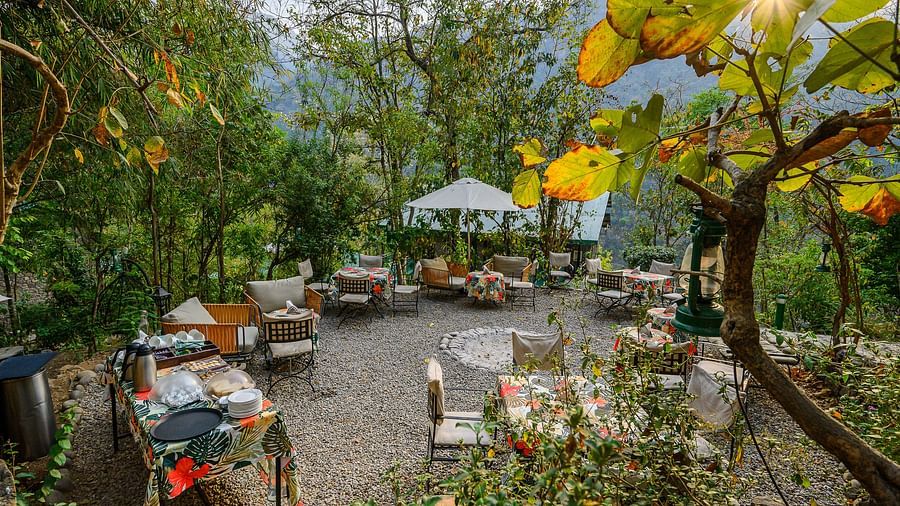 An outdoor dining area set amidst lush greenery, featuring rustic wooden tables, cosy seating, and a gazebo, with sunlight filtering through the trees and mountain views in the background.
