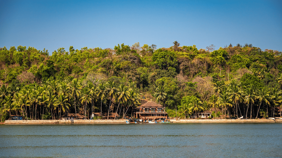 A view of our resort in South Goa perched on the banks of a river, with lush green vegetation behind it - Neemrana s Three Waters