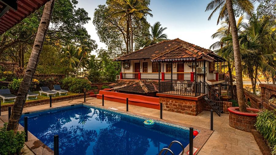 Swimming pool with lounge chairs and trees in the background in neemrana s three waters