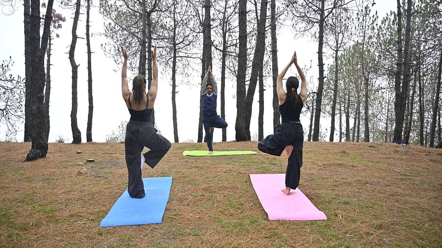 An image of three women practising Yoga in the middle of the forest - An image of massage products like different types of oil, stone, and other products placed at the table - The Manor Luxury Apartments, Shimla