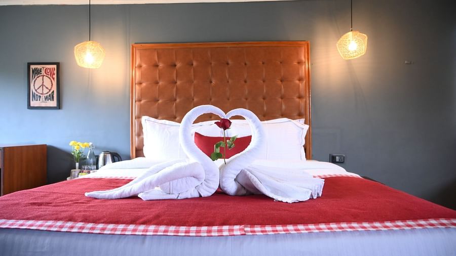 Romantic bed setup with towel swans and rose petals