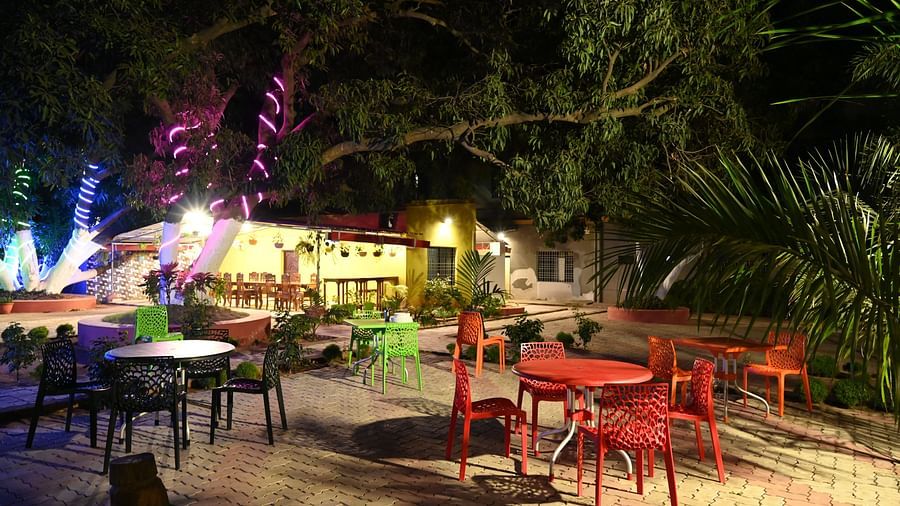 Dining at Zestful Bites Restaurant in McCluskieganj