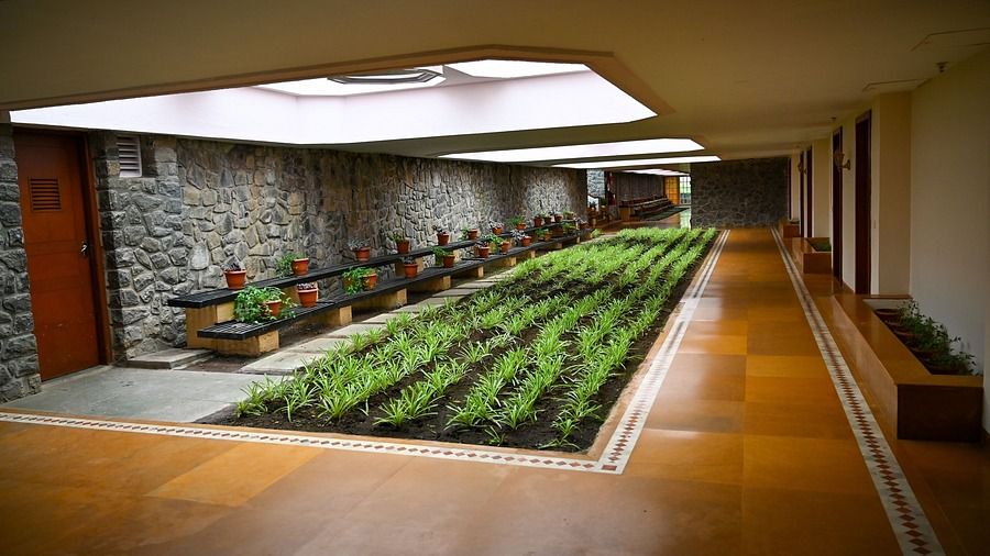 manicured lawn area inside The Carlton hotel in Kodaikanal