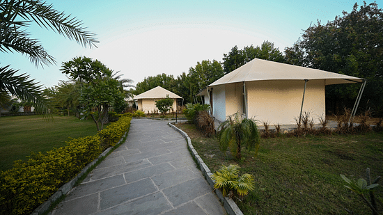 Two luxury tents surrounded by trees - Clarks Safari, Ranthambore