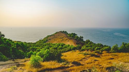 image featuring top view from chapora fort overlooking a beach with a serene background