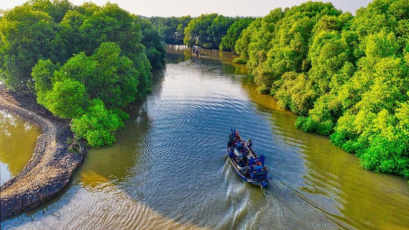 a boat kayaking through the mangrove forest