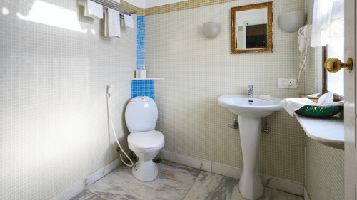 Parvati Mahal - Fort View Washroom