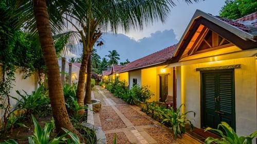 alley view outside rooms with trees