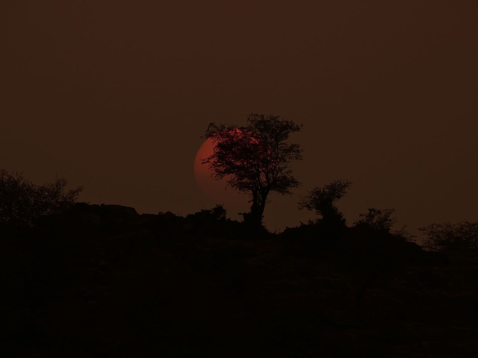 Image of sun taken during sunset with din light and hues of orange - Utsav camp Sariska