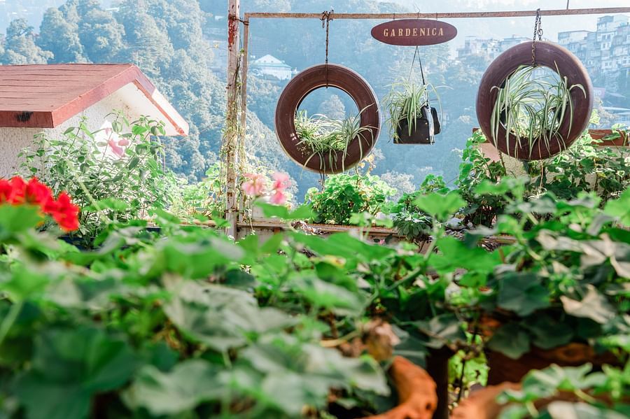 alt-text Terrace garden at our hotel in Mussourie 18