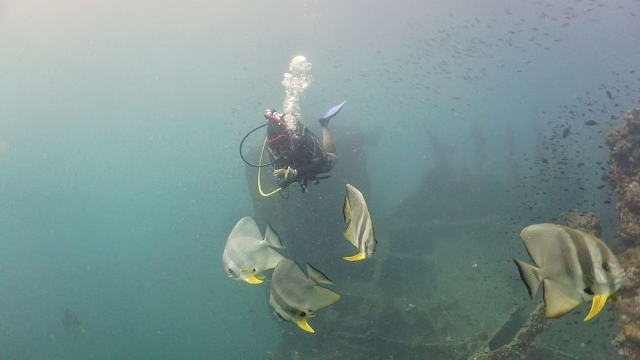Diving at Inchkeith Wreck Andaman Sea Photo by Rylan Pereira