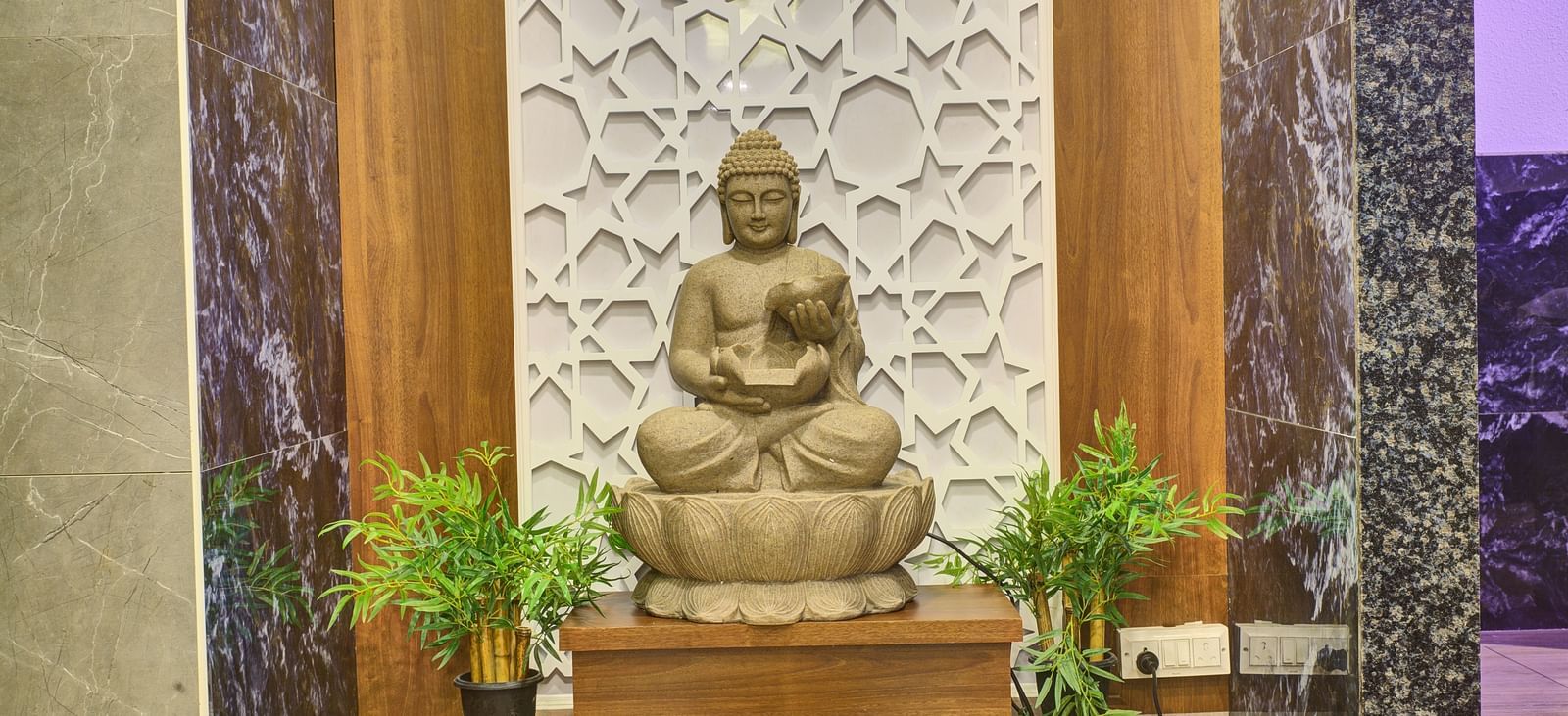 A stone statue of Lord Buddha with two green plants kept on both sides of it at Ilara Hotels & Spa, Tada.