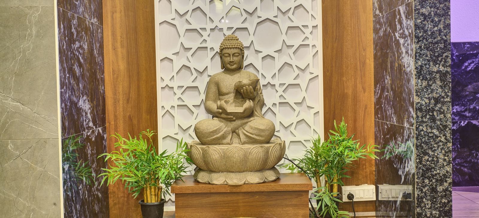 A stone statue of Lord Buddha with two green plants kept on both sides of it at Ilara Hotels & Spa, Tada.