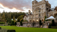 An image of a castle with lush greenery and trees around while having a beautiful sky in the background