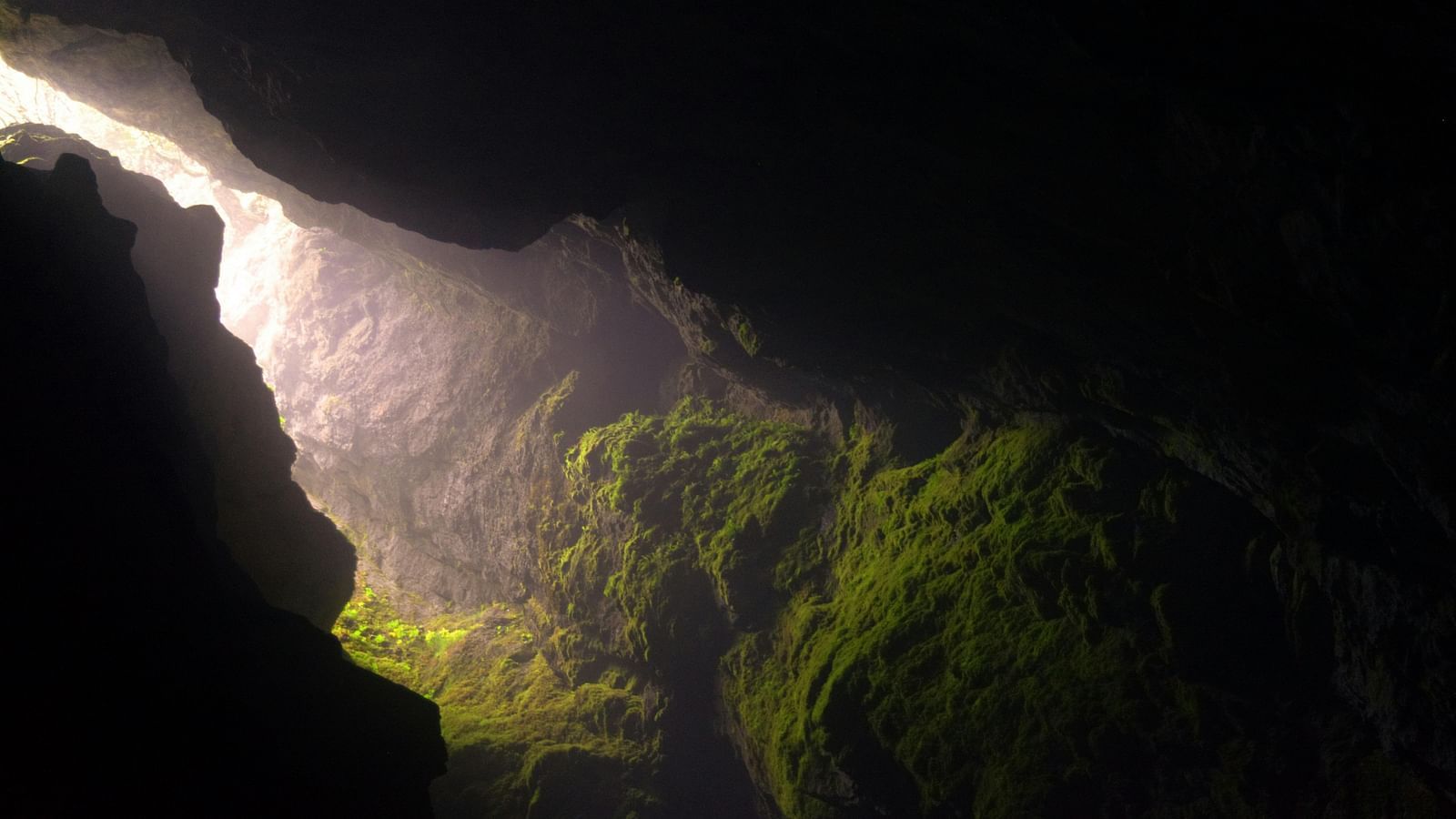 Cave entrance illuminated by a beam of sunlight, highlighting moss-covered rock walls.