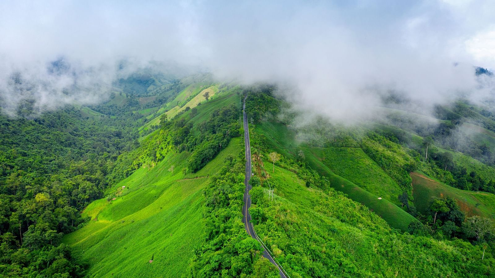 Aerial view of the green hills and misty landscapes of Wayanad Wildlife Sanctuary.