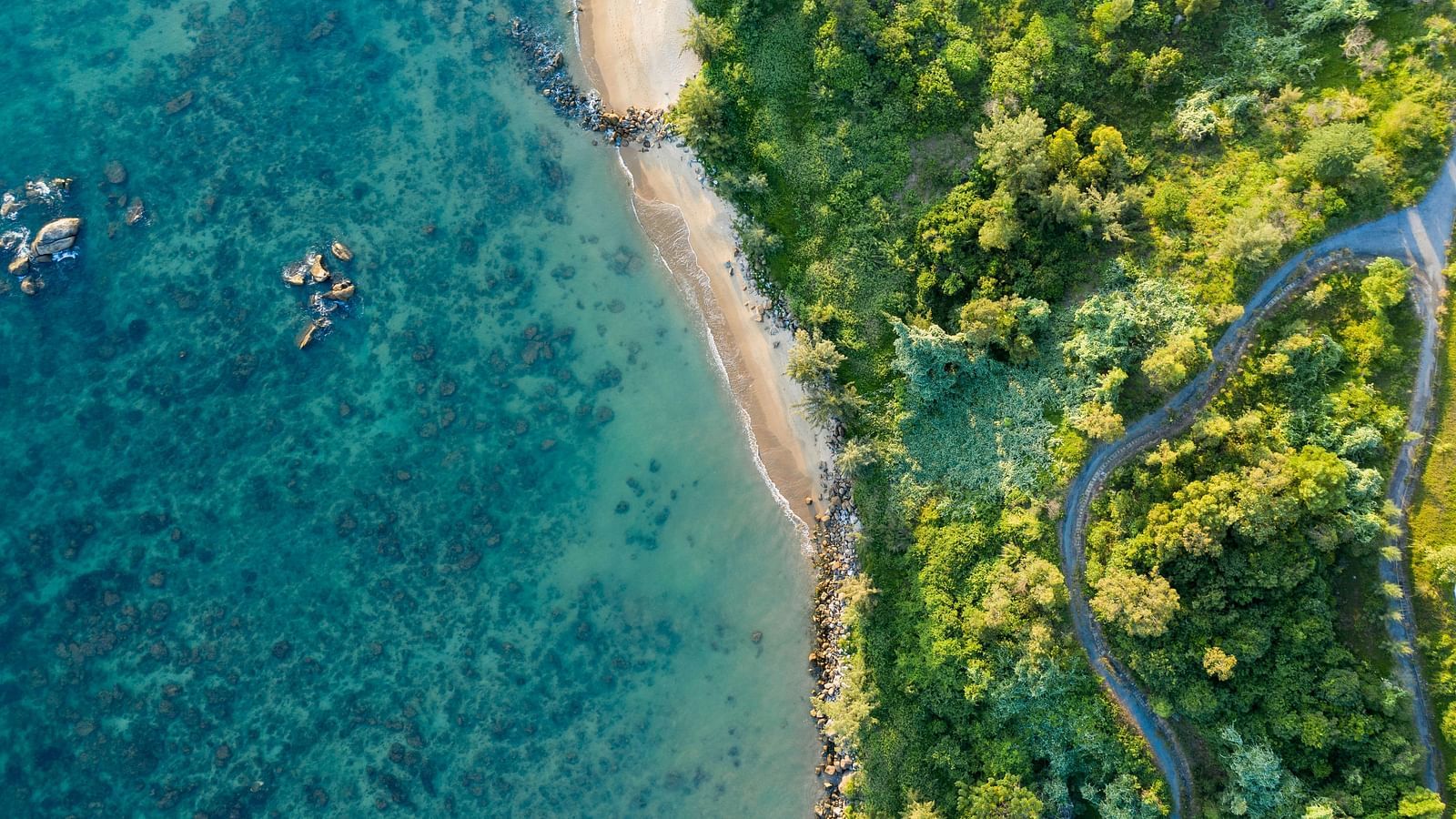 kiril-dobrev-v63UL8s28Ew-unsplash