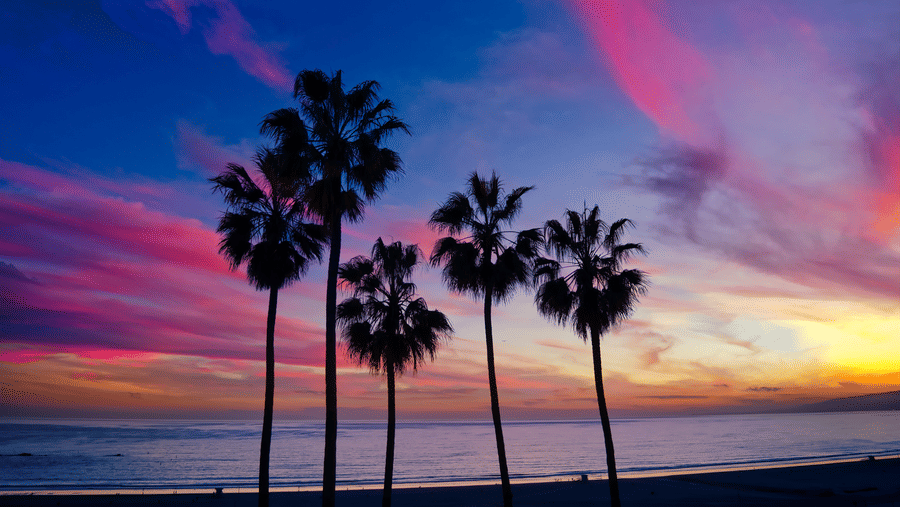 Silhouette of palm trees at dusk with different hues in the background