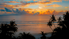 Silhouetted palm trees frame a colourful sunrise or sunset over the ocean waves.