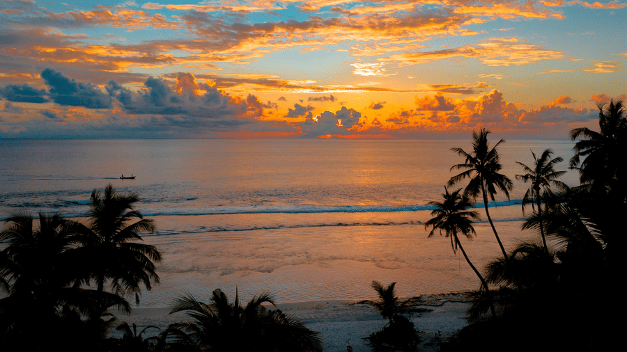 Silhouetted palm trees frame a colourful sunrise or sunset over the ocean waves.
