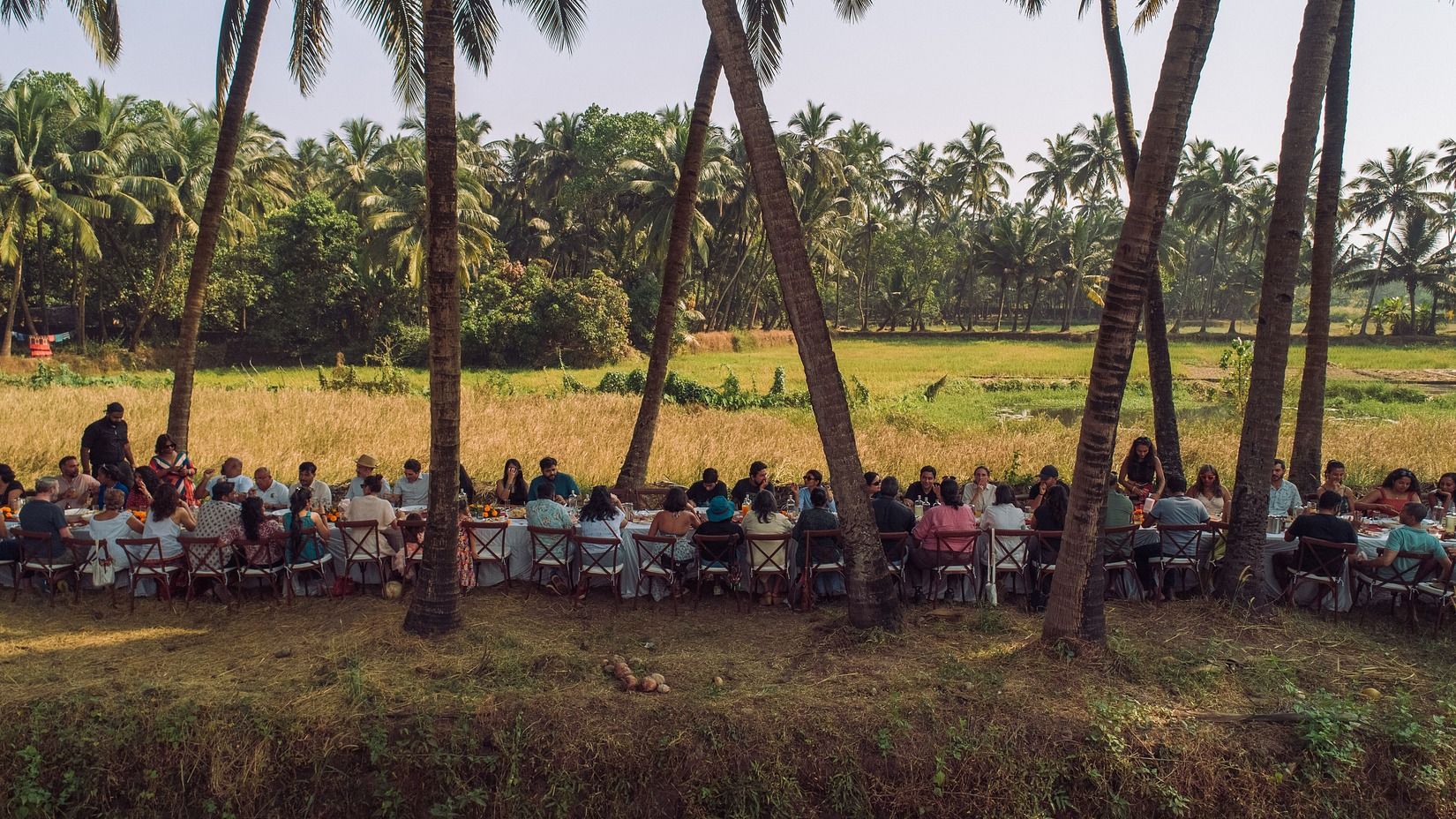 Feast in the fields