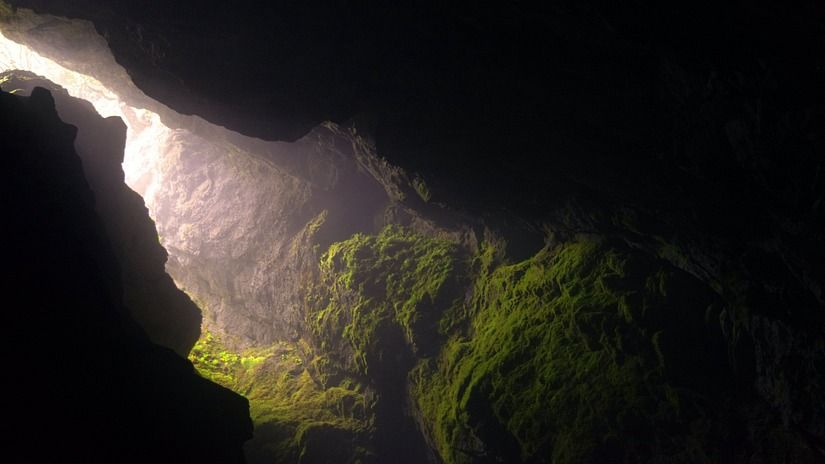 A inner view of a cave image