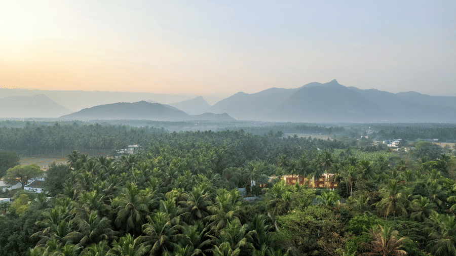 A landscape with dense trees in the foreground and misty mountains in the distance