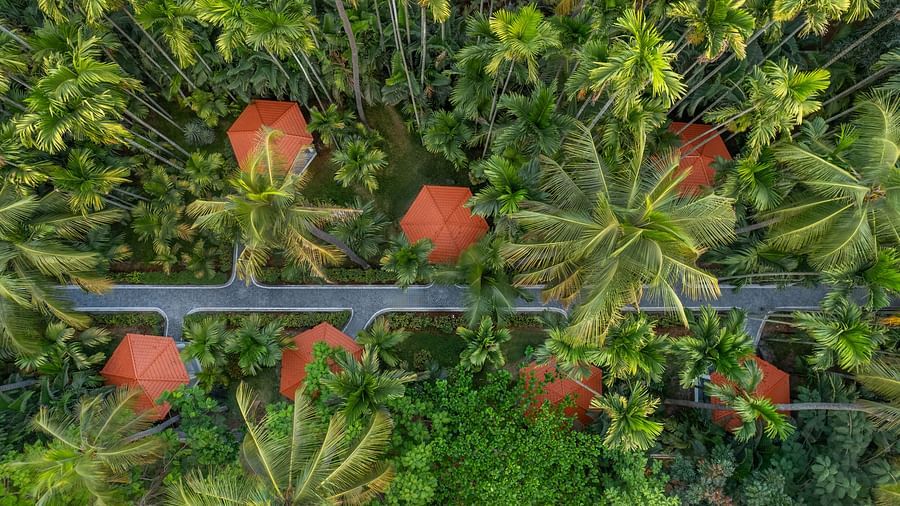 An aerial view of Mango Hill Resort, Coimbatore, with bungalows featuring orange roofs, nestled among lush green palm trees and foliage