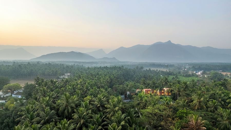 A landscape with dense trees in the foreground and misty mountains in the distance