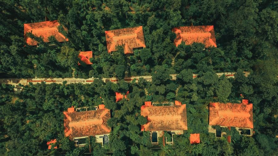 DJI 0033 copy