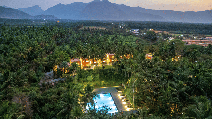 An aerial view of Mango Hill Resort, Coimbatore, nestled among palm trees, featuring a swimming pool and buildings with warm lighting, with mountains in the background.