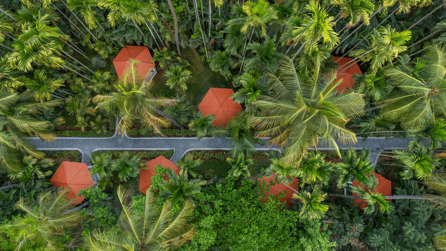 An aerial view of Mango Hill Resort, Coimbatore, with bungalows featuring orange roofs, nestled among lush green palm trees and foliage